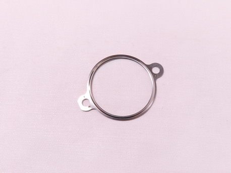 Exhaust Gas Seal R1100S