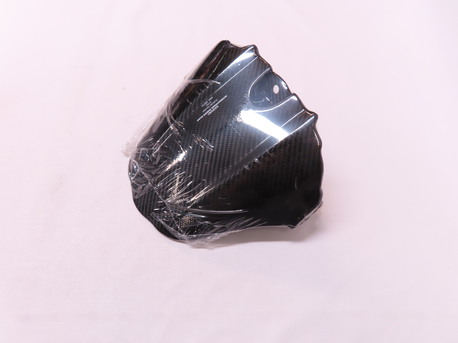 CARBON RR FENDER R1000