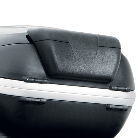 RYGGSTÖD FÖR TOPBOX 47L